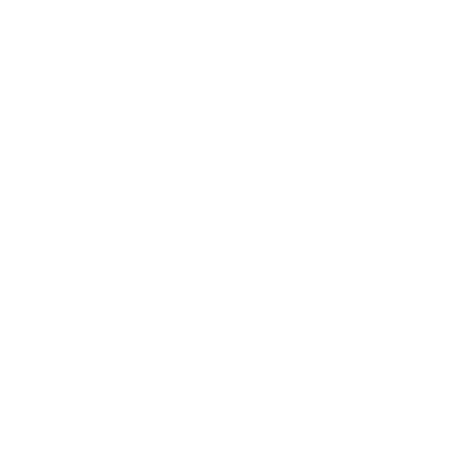 Language Icon